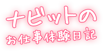 ナビットのお仕事体験日記